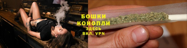 шишки Богородицк