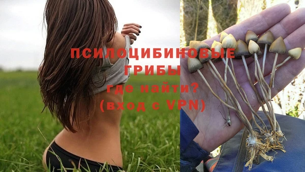 амфетамин Белокуриха