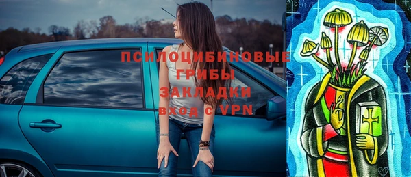 гашиш Богданович