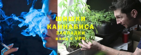 шишки Богородицк
