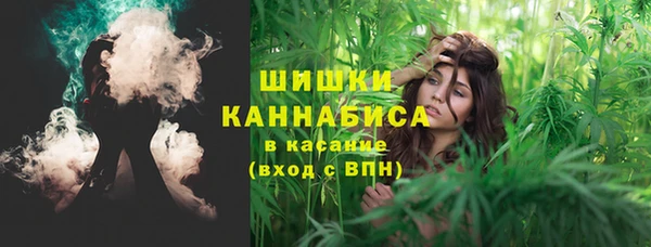 шишки Богородицк